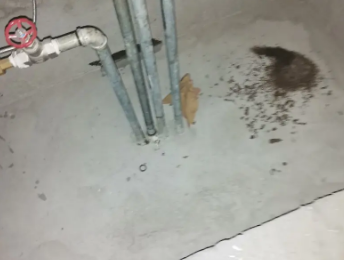 略阳卫生间测漏水价格明细